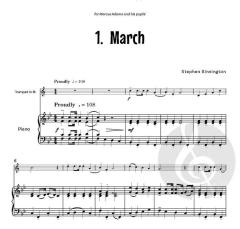 Mega Fun von Stephen Binnington (Download) 