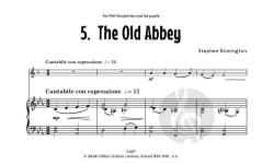 Mega Fun von Stephen Binnington (Download) 