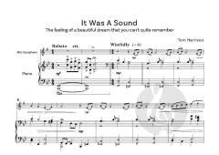 It was a Sound von Tom Harrison (Download) 