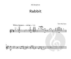 It was a Sound von Tom Harrison (Download) 