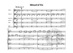 Fiddledy Jig von Mark Goddard (Download) 