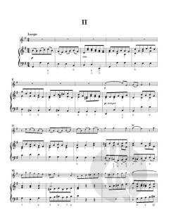 Flute Concerto No. 9 in E minor von Robert Woodcock 