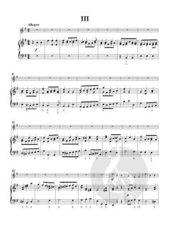 Flute Concerto No. 9 in E minor von Robert Woodcock 