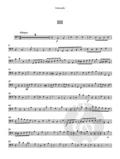 Flute Concerto No. 9 in E minor von Robert Woodcock (Download) 