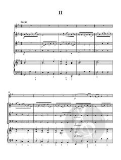 Flute Concerto No. 9 in E minor von Robert Woodcock (Download) 