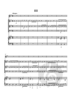 Flute Concerto No. 9 in E minor von Robert Woodcock (Download) 