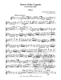 Tchaikovsky and Bizet von Peter Iljitsch Tschaikowsky (Download) 