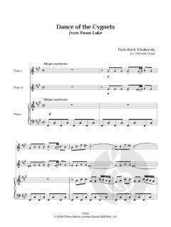 Tchaikovsky and Bizet von Peter Iljitsch Tschaikowsky (Download) 