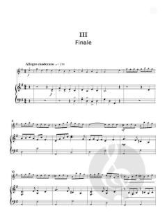 Concertinos for Young Violinists von Nigel Goldberg (Download) 