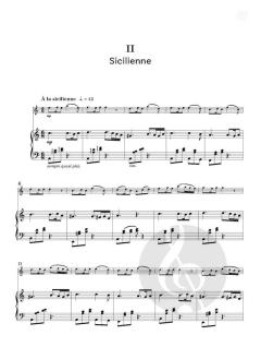 Concertinos for Young Violinists von Nigel Goldberg (Download) 