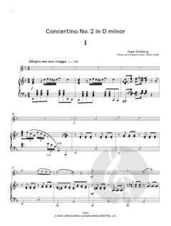 Concertinos for Young Violinists von Nigel Goldberg (Download) 