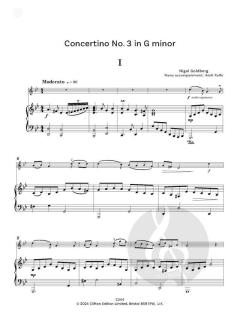 Concertinos for Young Violinists von Nigel Goldberg (Download) 
