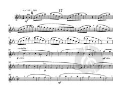 24 Melodic Studies von Graham Lyons (Download) 