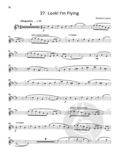 Compositions for Flute Vol. 1 von Graham Lyons (Download) 