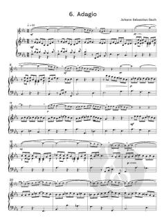 Useful Flute Solos 2 von Graham Lyons (Download) 
