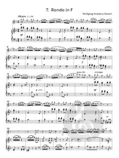 Useful Flute Solos 2 von Graham Lyons (Download) 