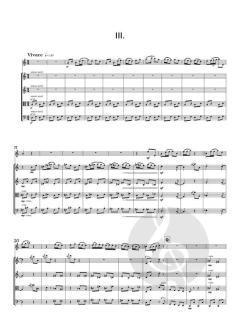 Concertante von Mary Chandler 