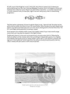 Balkan Music from the Danube von Gundula Stojanova Gruen (Download) 