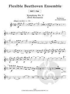 Flexible Beethoven Ensemble von Mark Goddard (Download) 