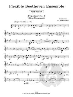Flexible Beethoven Ensemble von Mark Goddard (Download) 