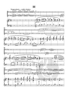 Hungarian Folk Song Suite von Helen Glatz 