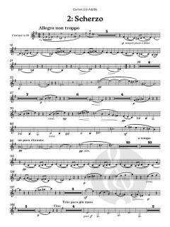 Serenade No. 1 in D, op. 11 von Johannes Brahms (Download) 