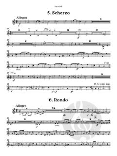 Serenade No. 1 in D, op. 11 von Johannes Brahms (Download) 