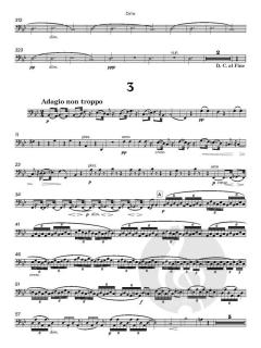 Serenade No. 1 in D, op. 11 von Johannes Brahms (Download) 