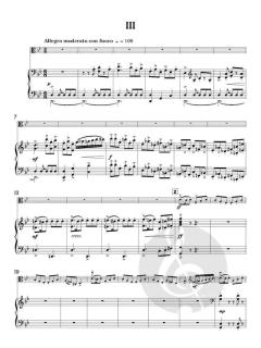 Concerto for Viola von James Rae (Download) 