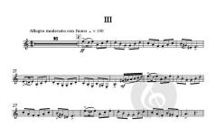 Concerto for Clarinet von James Rae (Download) 