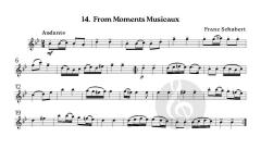 Melodies for Pleasure (Download) 