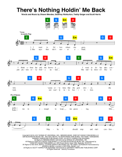 There's Nothing Holdin' Me Back von Shawn Mendes (Download) 