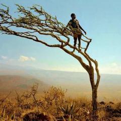 Zacchaeus von Travis Perry (Download) 