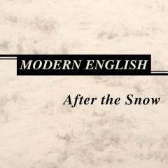 I Melt With You von Modern English (Download) 