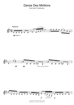 Danse Des Mirlitons von Peter Iljitsch Tschaikowsky (Download) 