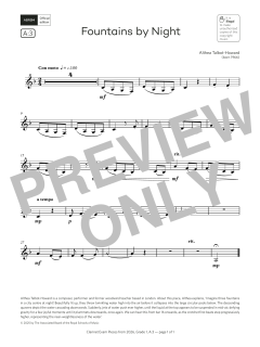 Fountains by Night (Download) 