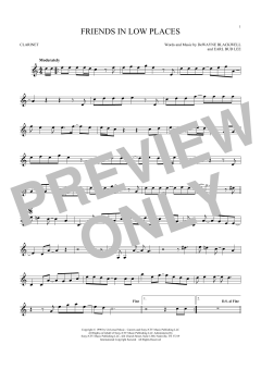 Friends In Low Places von Garth Brooks (Download) 