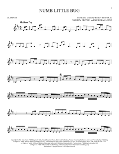 Numb Little Bug von Em Beihold (Download) 