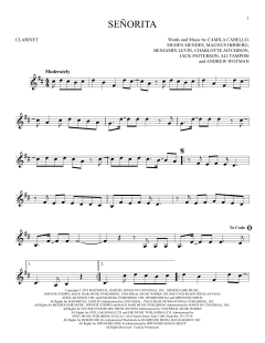 SeÃ±orita von Ben Levin (Download) 