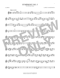 Symphony No. 5 In C Minor, First Movement Excerpt (Download) 