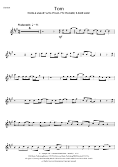 Torn von Natalie Imbruglia (Download) 