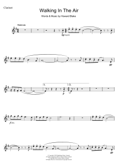 Walking In The Air von Howard Blake (Download) 