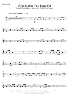 What Makes You Beautiful von One Direction (Download) 