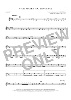 What Makes You Beautiful von One Direction (Download) 