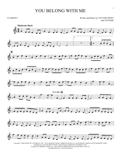 You Belong With Me von Taylor Swift (Download) 