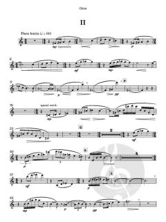 Concertino von Mary Chandler (Download) 