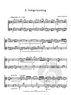 Caribbean Birds von Jayson Mackie (Download) 