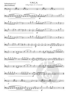 Y.M.C.A. von Henri Belolo 