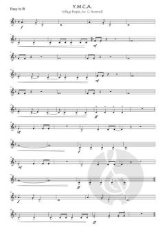 Y.M.C.A. von Henri Belolo 