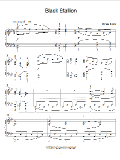 Black Stallion von Michele Evans (Download) 
